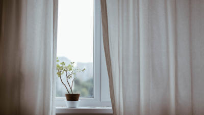 Potted plant in window sill with curtains